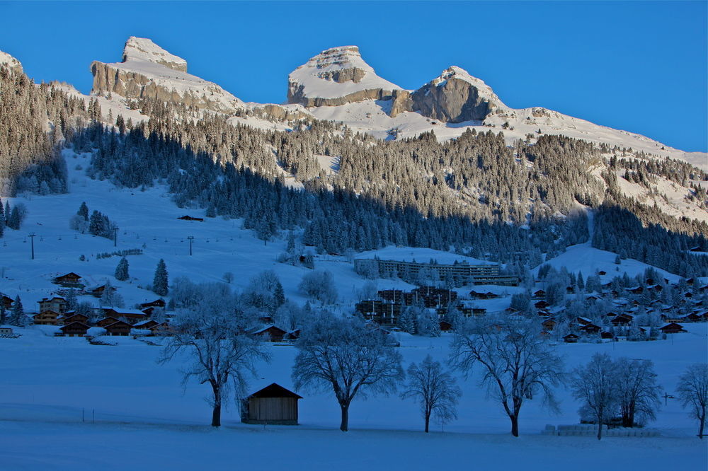 Hotel La Tour D'Ai Leysin Eksteriør billede